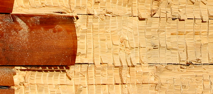 Log Home Face Restoration  Rockwell,  North Carolina