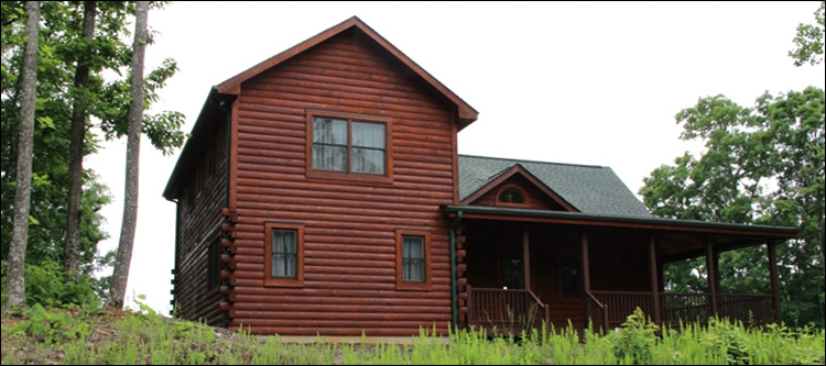 Professional Log Home Borate Application  Woodleaf,  North Carolina